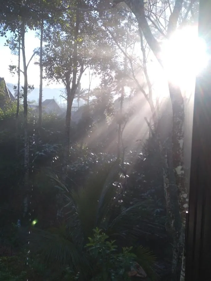 Winterhome Homestay Munnar 0*,  India